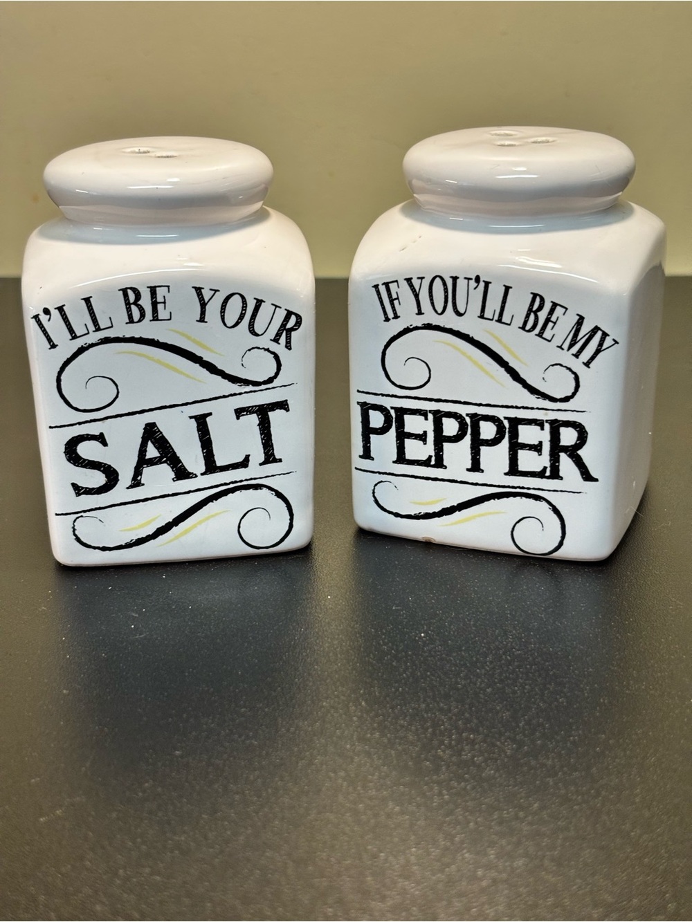 Salt and Pepper Ceramic Shakers - White with Black Script